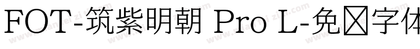 FOT-筑紫明朝 Pro L字体转换